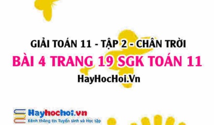 Bài 4 trang 19 Toán 11 tập 2 Chân trời sáng tạo